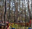 Газовое отопление, городской тф, спутниковое телевидение.