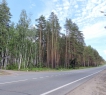 Отличные подъездные пути круглый год, что так немаловажно в жизни современного человека.