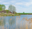 Продаётся замечательный земельный участок в Пестрецах на берегу озера 1000 кв.м.,  в очень живописном месте.