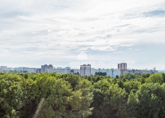 Взирайте свысока на зеленые просторы, густые леса и холмы, как граф на свои бескрайние владения!