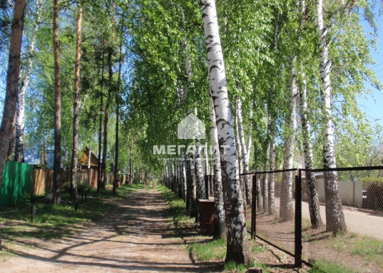 По алее ПРОВЕДЕН ГАЗ, вода, эектричество в доме.