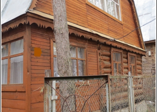 Дача в сосновом лесу