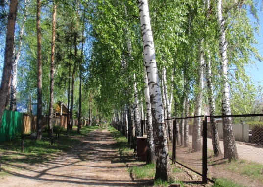 По алее ПРОВЕДЕН ГАЗ, вода, эектричество в доме.
