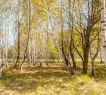 Это первый и самый важный шаг на пути к исполнению мечты.