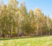 Прежде всего, он привлекателен удобным расположением: участок граничит с большим лесным массивом и имеет очень удобные подъездные пути с Минского шоссе в обоих направлениях.<br /><br />В качестве альтернативы: до Москвы можно добраться от жд станции «Голицыно» (до Белорусского вокзала) или автобусом, оба вокзала располагаются в 2,3 км. от участка.<br /><br />Вопрос удобства инфраструктуры закрывает наличие продуктовых магазинов (Пятерочка, Верный, Дикси), мясных, рыбных, молочных фермерских лавок, здесь работают зоомагазины, предприятия общественного питания, сферы услуг, пункты выдачи маркетплейсов.<br /><br />Вопрос с ключевыми коммуникациями решен с максимальной практичностью:<ul><li>Электричество проходит вдоль участка.</li><li>Газ проходит вдоль участка.</li><li>Имеется техническая возможность подключения к централизованным системам водоотведения и холодного водоснабжения.</li></ul><br />​​​​​​​Если вы ищите тихий живописный уголок в Московской области, где можно насладиться единением с природой, участок в Голицыно — именно то, что нужно.