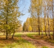 Именно такой участок мы и представляем вашему вниманию.<br /> <br />Земельный участок общей площадью 15 соток расположен в благоустроенном микрорайоне города Голицыно, Южный квартал, уч.96.