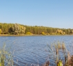 Особенно оценят этот вариант любители велосипедных прогулок, настоящей рыбалки, водного спорта и катеров.