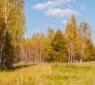<strong>Земельный участок в Голицыно - выгода, которую невозможно упустить!</strong><br /> <br />Лучший способ приобрести коттедж своей мечты — возвести его с нуля и обустроить так, как хочется вам. А для этого нужен просторный земельный участок с комфортным расположением, всеми необходимыми коммуникациями и хорошей экологией.