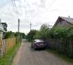 Пение птиц, грибы и ягоды….
