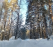 <strong>Хотите купить готовый дом с отделкой в пригороде Казани?</strong><br /><br />В продаже великолепный готовый коттедж площадью 120 кв.м. с ремонтом в Высокогорском районе г. Казани, д. Новое Мамонино, в окружении живописного леса. <br /><br />Чудесное наполненное свежим воздухом место у леса и речки, создающее атмосферу покоя и расслабленности, которой так не хватает в городской суете!<br /><br />Дом 2023 года постройки площадью 120 кв.м.:<br />- 1ый этаж: просторная кухня-гостиная, спальня (возможно использование как рабочий кабинет или детскую), санузел<br />- 2ой этаж: три просторные спальни, санузел, балкон.<br /><br />Полностью выполнена чистовая отделка, теплые полы, дом отапливается газовым котлом и подключен к центральному водоснабжению.