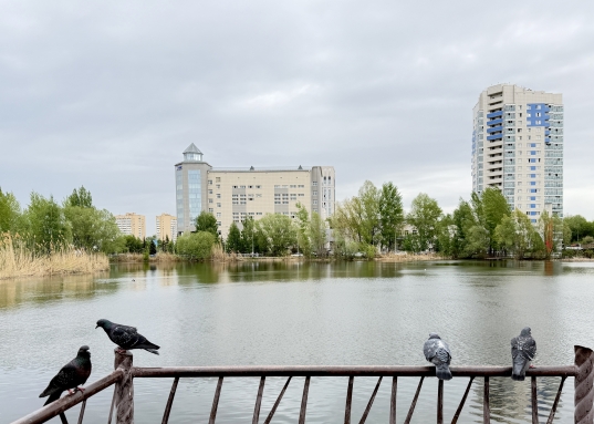 <strong>Продаётся просторная квартира для семьи с детьми — 178,6 кв. м, 5 комнат + сауна</strong><br /><br />Мечтаете купить комфортное жилье, где хватит места каждому члену семьи?