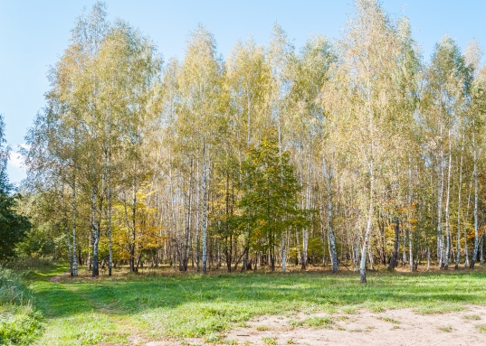Именно такой участок мы и представляем вашему вниманию.<br /> <br />Земельный участок общей площадью 15 соток расположен в благоустроенном микрорайоне города Голицыно, Южный квартал, уч.96.