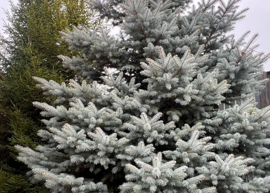 Звоните сейчас и узнайте все подробности!<br /><br />Рядом поселки: Кызыл-Байрак, Нариман, Ташевка, Ключищи, Нижний Услон, Теньки, Лабышка, Гребени, Матюшино.<br /><br />Возможен обмен, торг, ипотека.<br />​​​​​​​<br /><strong>С уважением, ваш гид в мире недвижимости, Ольга Валиуллина.<br />АН «МЕГАЛИТ» основано в 2004 году.