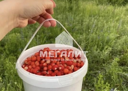 Мечтаете купить дом на берегу Волги в пригороде Казани?