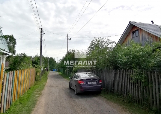 Пение птиц, грибы и ягоды….