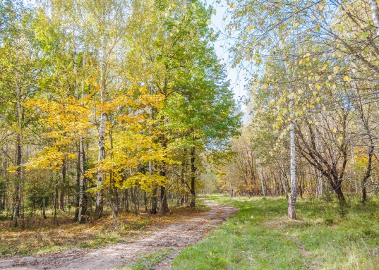 Свежий чистый воздух, красивые загородные пейзажи, тишина и покой — все это настраивает на умиротворяющий лад и позволяет отдохнуть телом и душой от жизни в шумном мегаполисе.<br /><br />Участок в Голицыно - простор для жизни и отдыха, ценное приобретение, которое открывает перед его владельцем привлекательные перспективы.
