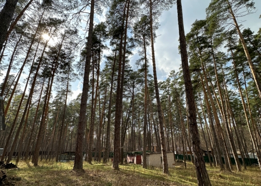 Приезжая сюда, Вы попадаете в необыкновенное сказочное место в окружение хвойного леса, поражающего своими красками и величием, наполненного чистейшим воздухом, трелями птиц, лесными ягодами, тишиной и спокойствием!<br /><br />       - участок 24 сотки;<br /><br />       - расположен на закрытой территории;<br /><br />       - электричество и газ заведены на территорию поселка;<br /><br />       - согласован проект освоения леса;<br /><br />       - в пешей доступности набережная реки Волга;<br /><br />       - до территории поселка ведет асфальтированная дорога, которая зимой чистится;<br /><br />        Приобретая наши участки, Вы приобретаете возможность построить дом своей мечты в экологическом месте, рядом с побережьем реки Волга, посреди хвойного леса с возможностью круглогодичного проживания.