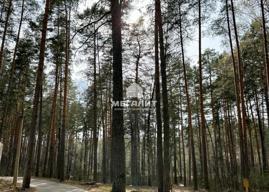 Матюшино, БО «Зеленый Бор».<br /> <br /><br /><strong>Особенность предложения:</strong><br /><br />Участок уникален, он представляет собой кусок лесного массива в границах Лаишевского пригородного лесничества.