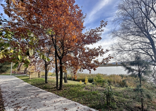 Куземетьево окружен живописным сосновым лесом и рекой, что создает неповторимую атмосферу полного единения с природой.