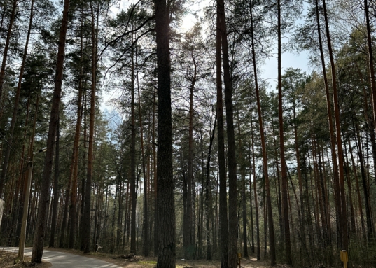 <strong>Тишина, гармония и умиротворение </strong>всего в 25 км. от Казани!<br />Данное предложение является <strong>эксклюзивным</strong>, здесь крайне редко бывают предложения о продаже!