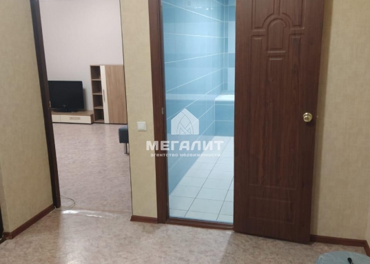 В квартире есть все необходимое для проживания - кухонный гарнитур, микроволновая печь, стиральная машина, холодильник, телевизор, диван, шкаф-куппе.