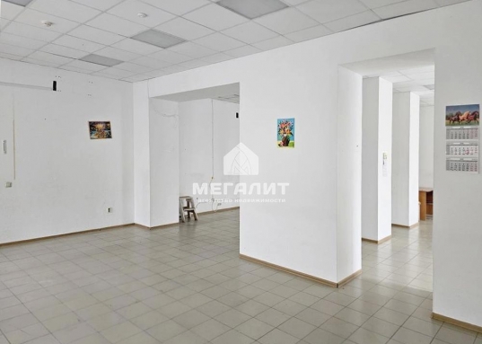 Имеется 3 входных группы: центральный - со стороны дороги и 2 запасных - с бокового и заднего фасадов здания.<br /><br />Помещение идеально подходит по торговлю: удобная планировка (просторный торговый зал 113 кв.м.), хорошая обзорность, место под вывеску.