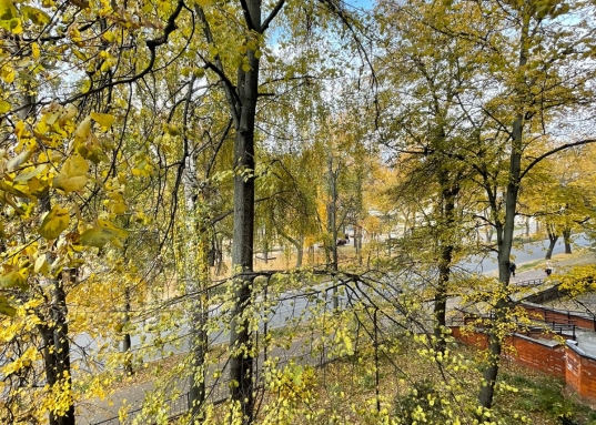 <span style="text-decoration:underline;"><span style="font-family:arial, helvetica, sans-serif;"><strong>Уникальное предложение: купить квартиру в кирпичном доме в центре Казани.</strong></span></span><br /><br /><strong>•  <span style="text-decoration:underline;">Свобода для творчества</span>:</strong> Отсутствие несущих стен позволяет реализовать любые дизайнерские решения и создать квартиру вашей мечты.<br /><br /><strong>•  <span style="text-decoration:underline;">Ремонт под себя</span>: </strong>Забудьте о переделке чужих решений!