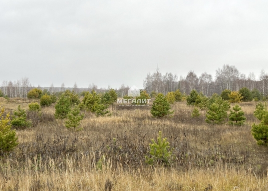 Тарлаши.<br /><br />Категория земель: земли сельскохозяйственного назначения.<br />Вид разрешенного использования: сельскохозяйственное производство.<br /><br />Новая асфальтированная дорога, пейзажи дивной красоты, конно-спортивный клуб, чистейший воздух, лес и жемчужина локации - красивейшее Архиерейское озеро - залог успеха развития данной территории в сфере малоэтажной застройки.