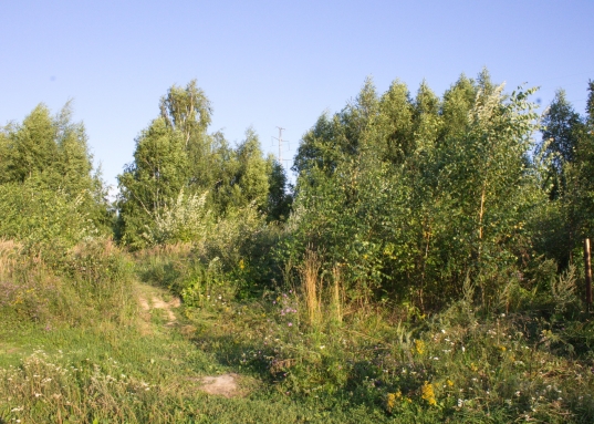 Адрес: ул. Овражная (Салмачи), Поселок: Салмачи, Площадь участка: 12,1 соток, Район: Приволжский