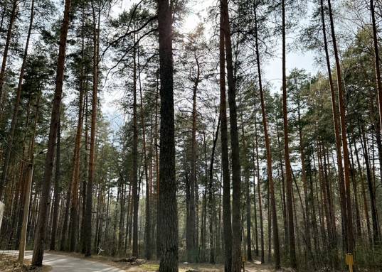 Матюшино, БО «Зеленый Бор».<br /> <br /><br /><strong>Особенность предложения:</strong><br /><br />Участок уникален, он представляет собой кусок лесного массива в границах Лаишевского пригородного лесничества.