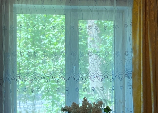 Рядом школа и детские сады.