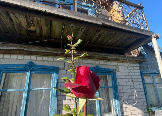 <br />Купить дачу около реки и в окружении соснового леса?<br />Тогда это предложение для вас!<br /><br />Участок и дачный дом в живописном СНТ "Аэропорт" Лаишевского района. <br /><br />Почему стоит обратить внимание именно на этот дом?<br />* Идеальное расположение: Центральная аллея, удобный подъезд прямо от въезда в СНТ.<br />* Уют и комфорт: Небольшой, но очень уютный домик с летней верандой-кухней, где приятно проводить время с семьей и друзьями.<br />* Безупречный участок: Ровный, ухоженный участок правильной формы 6 соток– идеальное место для воплощения ваших ландшафтных идей!<br />* Электричество круглый год, септик (3 кольца), возможность круглогодичного проживания (подъездные пути чистятся зимой).<br />* Соседи: Дружелюбные соседи, проживающие как сезонно, так и круглогодично.<br />* Природа вокруг: Живописное место, рядом Песчаные ковали, СНТ "Весна" СНТ "Полянка" Орловка, Орел, Кордон, Габишево, Волжанка, Бережок, Чистое озеро, сосновый лес – идеальное место для отдыха и прогулок на свежем воздухе.<br />* Голубой залив, р.