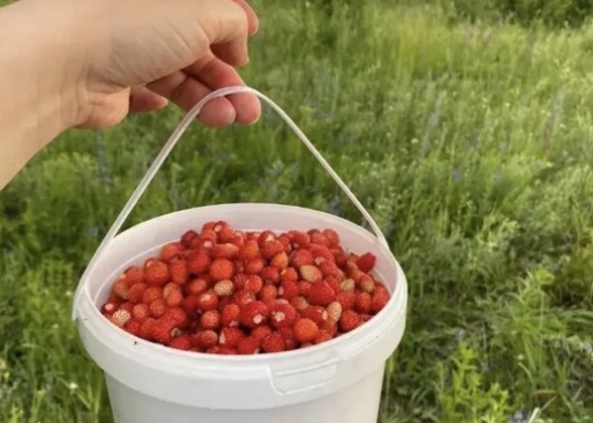 Мечтаете купить дом на берегу Волги в пригороде Казани?