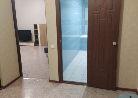 В квартире есть все необходимое для проживания - кухонный гарнитур, микроволновая печь, стиральная машина, холодильник, телевизор, диван, шкаф-куппе.