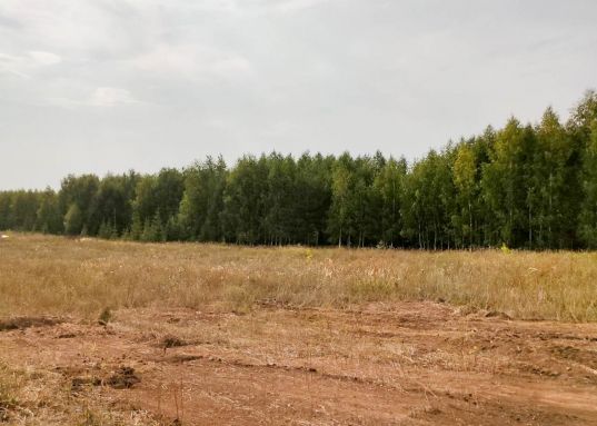 Адрес: ул. Германа Одноценова, Поселок: Чебакса, Площадь участка: 15,5 соток, Район: Советский