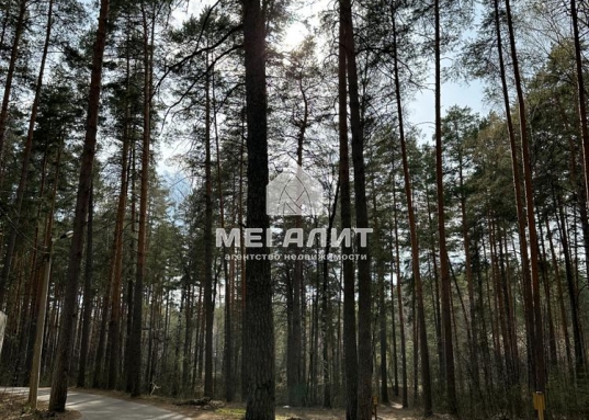 Зеленый Бор.