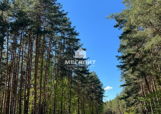 <strong>В продаже участок ИЖС 7 соток в КП "Сосновый Бор" в 20-ти минутах езды от Казани.</strong><br /><br />Коттеджный поселок «Сосновый бор» расположен в Пестречинском районе Республики Татарстан всего в 27 км от Казани.
