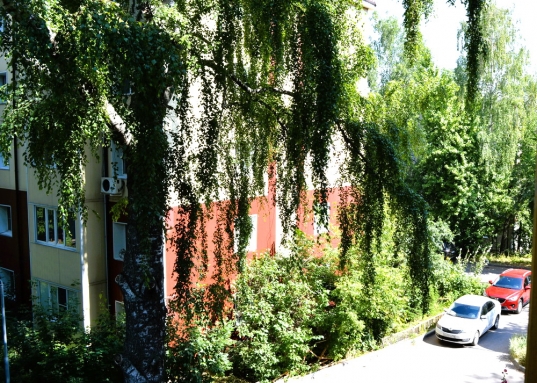 Трехкомнатная квартира в  центре Советского района г. Казани