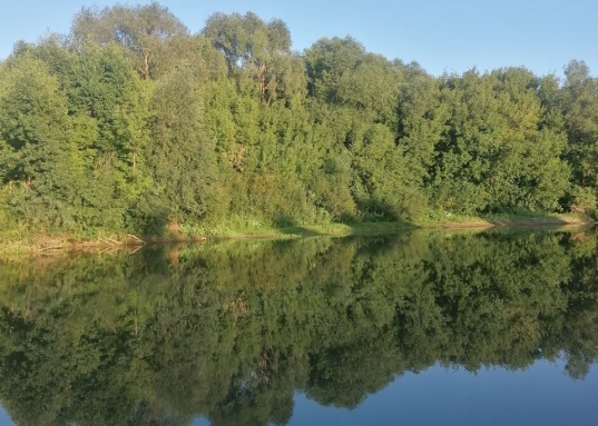 Участок ровный без склона.