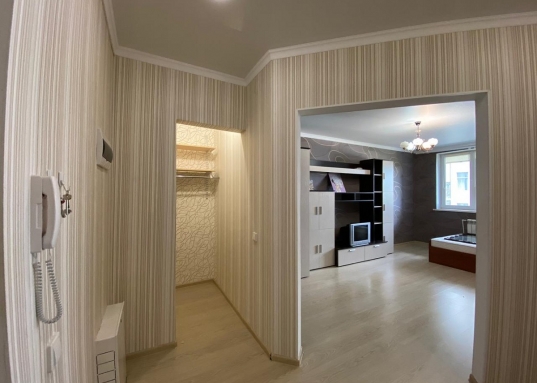 Адрес: ул. Рихарда Зорге, дом 66в, Количество комнат: 1, Общая площадь: 42.7 м<sup>2</sup>, Жилая площадь: 20 м<sup>2</sup>, Площадь кухни: 11 м<sup>2</sup>, Этаж: 8/24, Тип дома: Кирпичный, Район: Приволжский