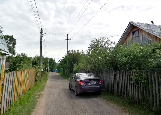 Пение птиц, грибы и ягоды….