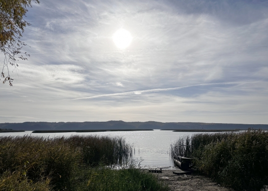 Живописная набережная Волги и ухоженные сосновые тропы — это ваш личный променад для утренних пробежек, прогулок с коляской или фотосессий на закате.