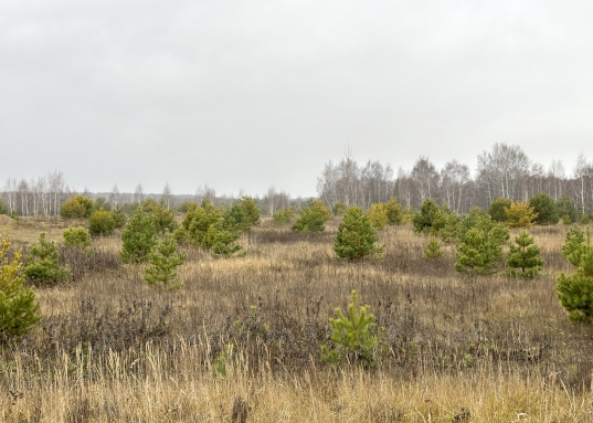 Тарлаши.<br /><br />Категория земель: земли сельскохозяйственного назначения.<br />Вид разрешенного использования: сельскохозяйственное производство.<br /><br />Новая асфальтированная дорога, пейзажи дивной красоты, конно-спортивный клуб, чистейший воздух, лес и жемчужина локации - красивейшее Архиерейское озеро - залог успеха развития данной территории в сфере малоэтажной застройки.