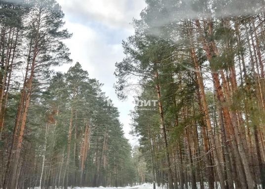 <strong>В продаже участок ИЖС 7 соток в КП "Сосновый Бор" в 20-ти минутах езды от Казани.</strong><br /><br />Коттеджный поселок «Сосновый бор» расположен в Пестречинском районе Республики Татарстан всего в 27 км от Казани.