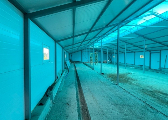 Этот вариант – ваш ключ к успеху!</strong><br /><br />Продается 2,5 Га земли сельхоз назначения с НОВЫМ, современным ангаром в живописном районе рядом с Гильдеево, Богородским, Камышем, Первым Мая, Кулаево, Арышхазда!<br /><br /><span style="text-decoration:underline;"><strong>Этот объект – это:<br /></strong></span><br />• Выгодное расположение: Удобный подъезд прямо с трассы М7 – логистика на высоте!<br />• Современный ангар: Оснащен механизированной линией уборки, крыша из поликарбоната с возможностью открывания для проветривания.