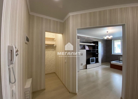 Адрес: ул. Рихарда Зорге, дом 66в, Количество комнат: 1, Общая площадь: 42.7 м<sup>2</sup>, Жилая площадь: 20 м<sup>2</sup>, Площадь кухни: 11 м<sup>2</sup>, Этаж: 8/24, Тип дома: Кирпичный, Район: Приволжский