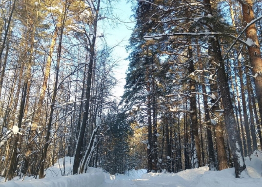 <strong>Хотите купить готовый дом с отделкой в пригороде Казани?</strong><br /><br />В продаже великолепный готовый коттедж площадью 120 кв.м. с ремонтом в Высокогорском районе г. Казани, д. Новое Мамонино, в окружении живописного леса. <br /><br />Чудесное наполненное свежим воздухом место у леса и речки, создающее атмосферу покоя и расслабленности, которой так не хватает в городской суете!<br /><br />Дом 2023 года постройки площадью 120 кв.м.:<br />- 1ый этаж: просторная кухня-гостиная, спальня (возможно использование как рабочий кабинет или детскую), санузел<br />- 2ой этаж: три просторные спальни, санузел, балкон.<br /><br />Полностью выполнена чистовая отделка, теплые полы, дом отапливается газовым котлом и подключен к центральному водоснабжению.